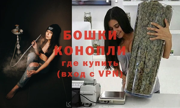 трава Арсеньев