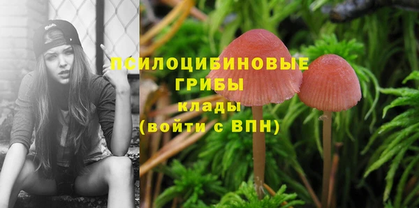 трава Арсеньев